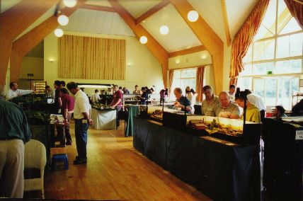 General exhibition view